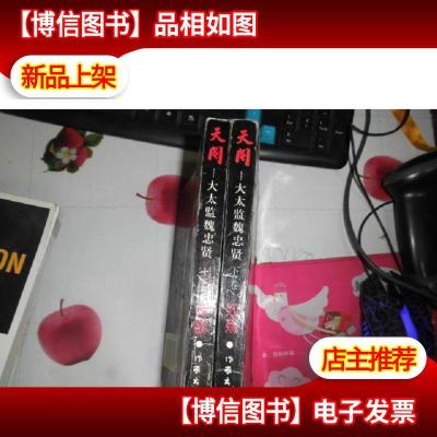 天阉:大太监魏忠贤 上下册