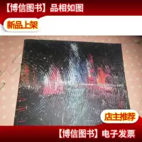 尹朝阳recent works 2007