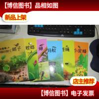 虫虫世界 美丽的蝴蝶 强悍的蟑螂 大镰刀螳螂 小小歌唱家蝉 强大