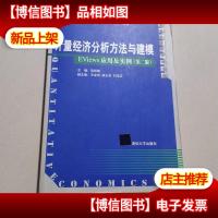 计量经济分析方法与建模:数量经济学系列丛书