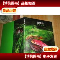 周春芽2008新绘画个展