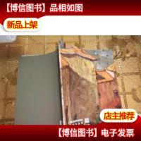 澄怀观道 中国油画院课题组画家作品集—— 秦烨