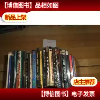 光盘20碟看图 游戏光盘中文版