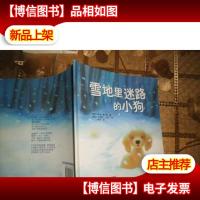 雪地里迷路的小狗