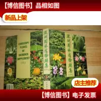 深圳园林植物续集(一)