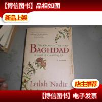 Baghdad看图