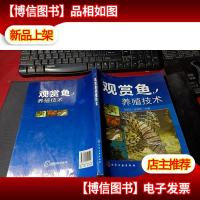 观赏鱼养殖技术 无字迹