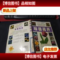 球根花卉 馆藏无字迹