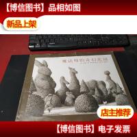 魔法师的奇幻花园 无字迹