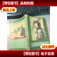 盆景造型艺术 无字迹