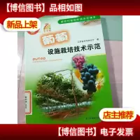 葡萄设施栽培技术示范 无字迹