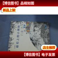 抱抱绘本:岩石上的小蝌蚪