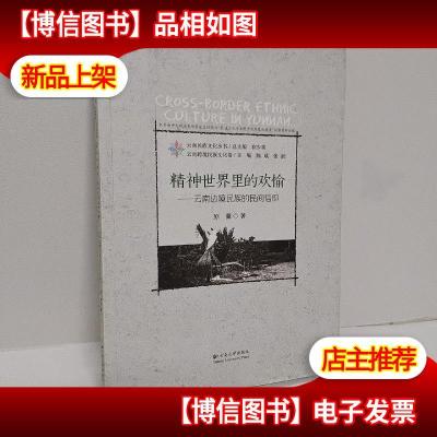 云南民族文化丛书 云南跨境民族文化卷 精神世界里的欢愉:云南边