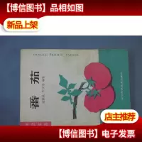 家庭菜园 番茄