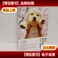 我与狗狗的十个约定