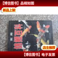 实用锦鲤百科