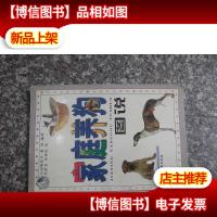 家庭养狗图说