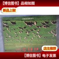 吉祥科尔沁——乌兰呼奇摄影作品集