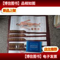 蒙医针灸放血穴位彩色图谱注+六张彩色挂图