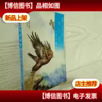 椋鸠十动物小说 爱藏本03 生于天空