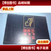 妇产科超声诊断图谱(精装本)
