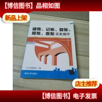 建账记账算账报账查账实务操作