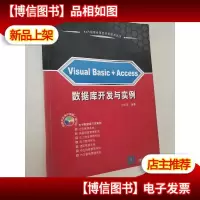 1+1数据库混合开发技术丛书:Visual Basic+Access数据库开发与实
