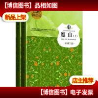 魔山(孩子们必读的诺贝尔文学经典)
