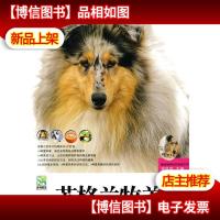 苏格兰牧羊犬