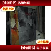 孙枫油画(签名本)
