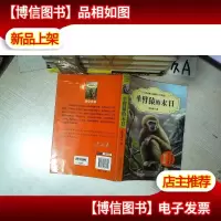 单臂猿的末日(升级版)
