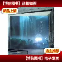廉泉光影