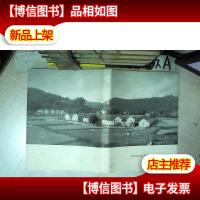 乡愁 关怀与唤醒——广东省 三师 专业志愿者下乡服务活动周年访