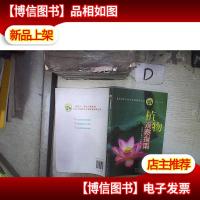 最贴近青少年生活的科普丛书:植物观察指南