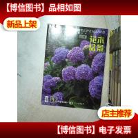 花木盆景 2019 9 上半月