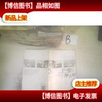 巴黎没有摩天轮 ..