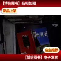泪洒可可西里