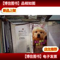 我与狗狗的十个约定