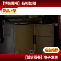 中国文化产业的西部模式