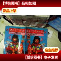 幼儿十万个为什么.风筝爆竹和跷跷板:周围事物