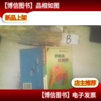 野菊花 红田野:秦文君文集 ..