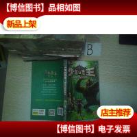 少年冒险王:钟离山魅影追踪