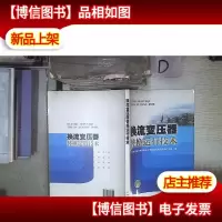 换流变压器替换运行技术