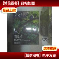 HIFI 音响2004 3. .