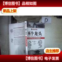 两个龙头:给北京和上海的发展建议 .