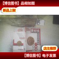 黄粉虫高效养殖技术一本通
