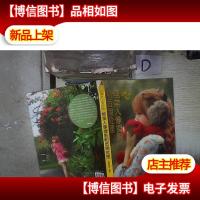 好摄达人教你拍:绝美人像摄影和后期处理