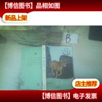 雄虎哈雷沈石溪十二生肖动物小说