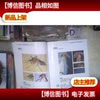 口岸实用医学媒介生物彩色鉴定图谱‘’ 。