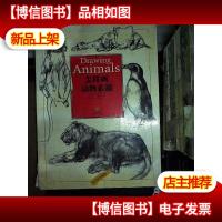 怎样画动物素描: